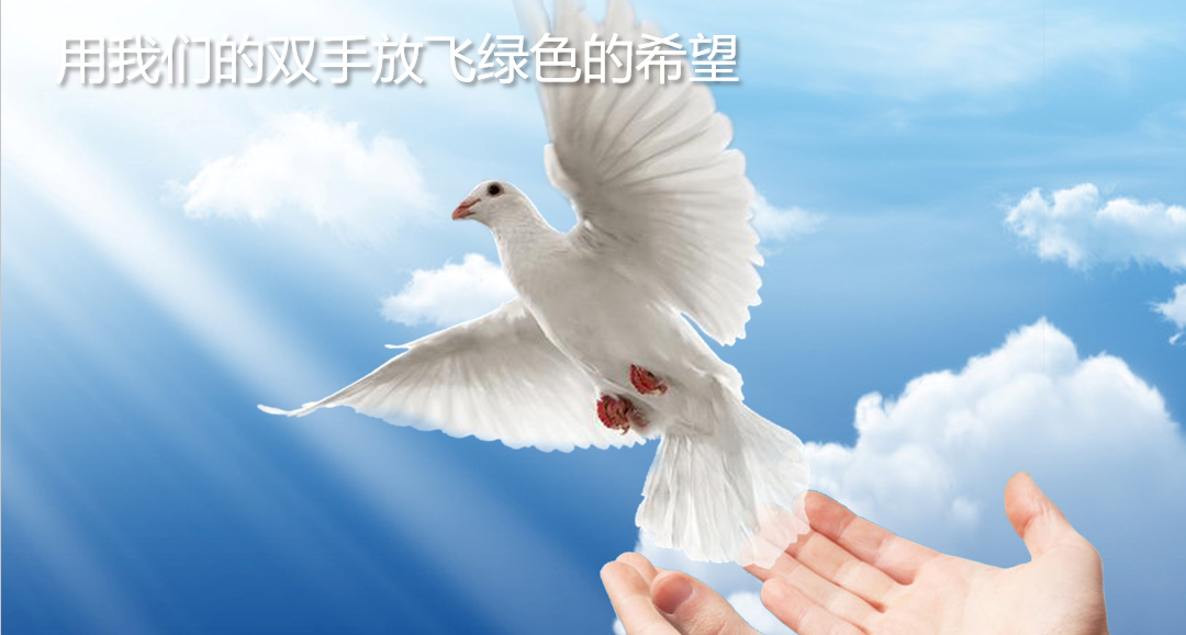 56c61cc79aeacaf95a914a2581c8527d.png